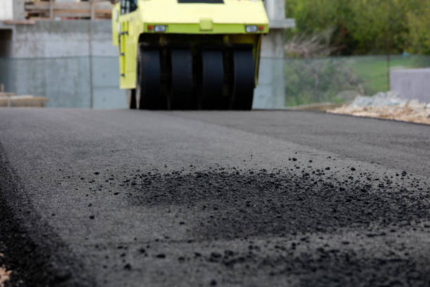 Best Driveway Pavers for Homes  in Candor, NC